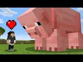 Lagu Minecraft, But Your Hearts = Size…