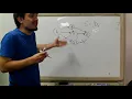 Graphs Part 7 Topological Sort
