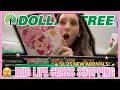 Dollar Tree Shop With Me I SCREAMED AT THIS FIND Retail Therapy a CART FULL of Finds