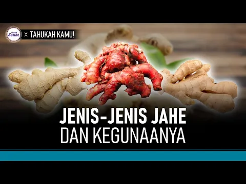 3 Jenis Jahe di Pasaran dan Manfaatnya