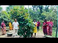 Download Lagu ভাই তো চলে গেল বেঙ্গালুরুতে আর আমরা সবাই বাড়িতে কি কি করলাম//
