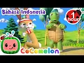 Download Lagu Lomba Lari Kelinci dan Kura-kura | CoComelon Bahasa Indonesia - Lagu Anak Anak | Nursery Rhymes