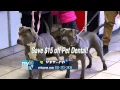 NM CW at Vetco for Pet Dental Health Month