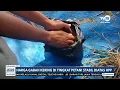 Download Lagu HARGA GABAH KERING DI TINGKAT PETANI STABIL DI ATAS HPP