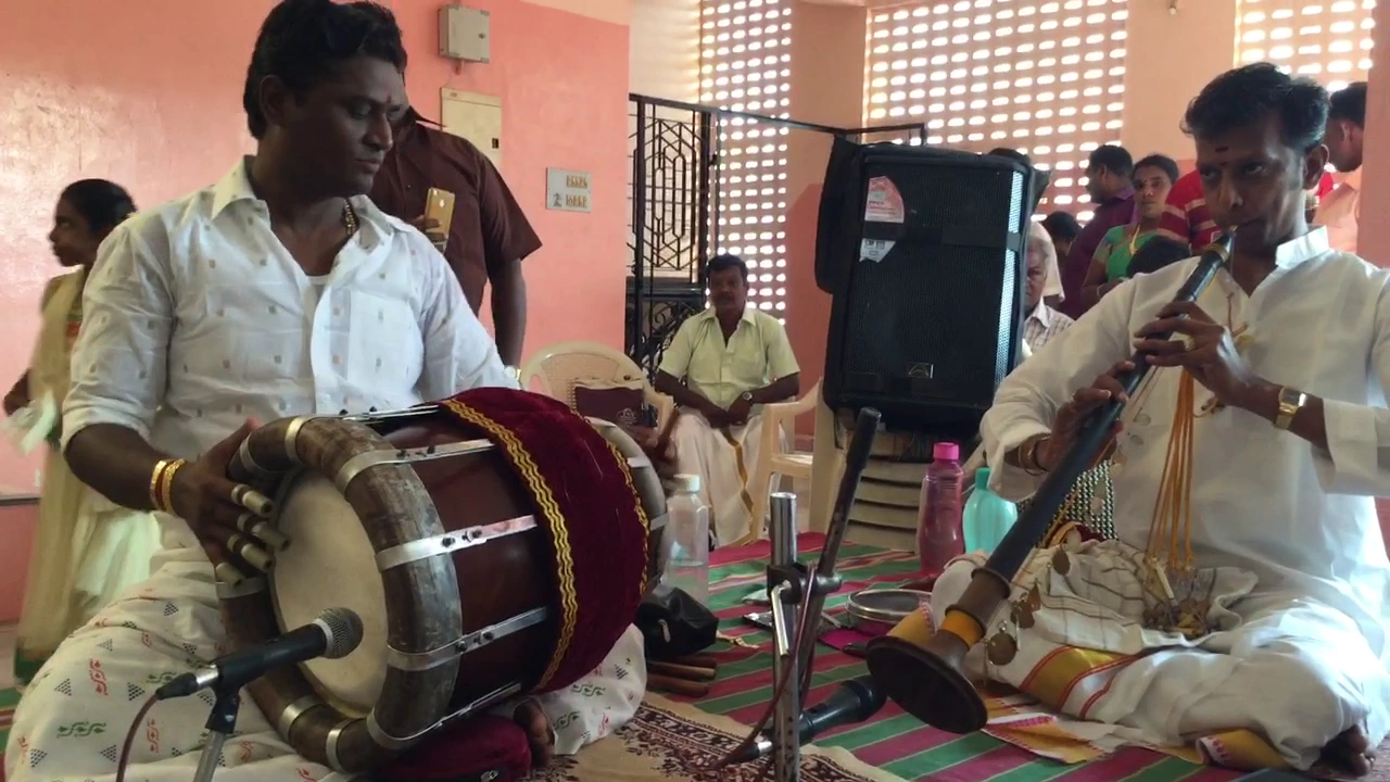 Maadu Meikum Kanne  - Nagaswaram A.Vijay karthikeyan & V.Prakash Ilayaraja