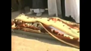 عباس السحاكي اشوفك يا بني بصفنات الغروب 