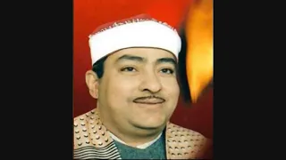 الشيخ سالم غنيم سالم ست الحبايب 