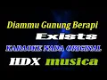Download Lagu DIAMMU GUNUNG BERAPI - Exists - KARAOKE