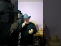 mitad tu mitad yo ( Vicente Fernandez)