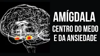 AMÍGDALA: CENTRO NEUROBIOLÓGICO DO MEDO E ANSIEDADE | CIRCUITO DO MEDO E A NEUROBIOLOGIA DAS EMOÇÕES