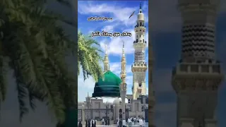 نظم في نسب النبي محمد ﷺ للشيخ محمد بن محمد بن عبد الرحمن الديسي الجزائري 