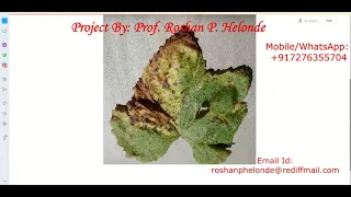 Grape Leaf Disease Detection Using CNN Convolutional Neural Network Python Project Source Code