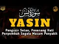 Download Lagu Surah Yasin Pengusir Setan dan Penyembuh Segala Macam Penyakit, Ngaji Merdu | By : Alaa Aqel