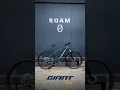Roam 0 2024