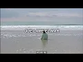 Mercedes Sosa-Alfonsina y el mar🌊|letra|