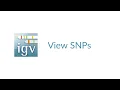Download Lagu IGV | View SNPs | Homozygous, Heterozygous, Strand Bias