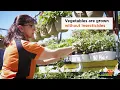 The Fleet Farm Garden Center Is Now Open 30 sec