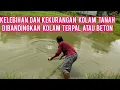 Download Lagu Kelebihan dan Kekurangan Kolam Tanah dibandingkan Kolam Terpal atau beton pada Budidaya Ikan Nila