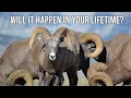 Odds of Drawing a Sheep Tag Fresh Tracks Weekly Ep 41