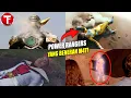 Download Lagu 7+ Power Rangers yang BENERAN MATI Dalam Serialnya