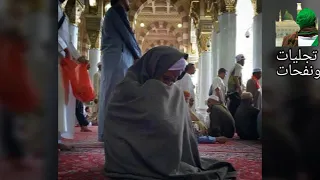 أهل المحبه   ٤     رسول الله قد عجز الطبيب   يارسول الله تولانا   روائع الشيخ امين الدشناوى دندنها