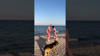 مصطفي عمل حوار في دولت 