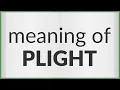 Plight meaning of Plight