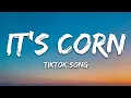 it s corn kid tiktok song it s corn a big lump of knobs