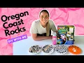 DIY Stepping Stones Oregon Coast Rocks