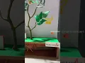 Photosynthesis NakulSahuArt