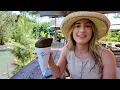 THIS is the GOLD COAST!? Exploring Currumbin Valley + Cougal Cascades  | Australia Travel