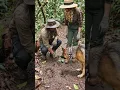 Wildvora - Building a New Life in the Wild