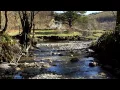 Relaxing Nature Sounds With Gentle Piano Music ( River, Birds Singing )