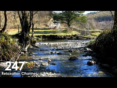 Download MP3 Relaxing Nature Sounds With Gentle Piano Music ( River, Birds Singing )