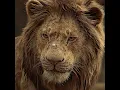 Download Lagu 💖 Simba always thought that he was the one who killed Mufasa. 💖 #edit #movie #shorts