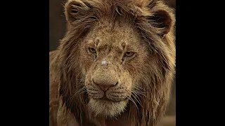 Simba Always Thought That He Was The One Who Killed Mufasa Edit Movie Shorts 