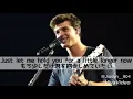 Shawn Mendes   Never Be Alone和訳