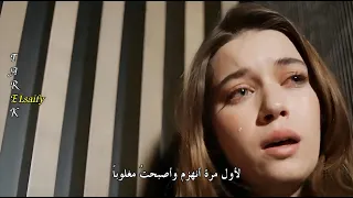 أغنية الحلقة 30 من مسلسل طائر الرفراف لا أستطيع أن أكون معك مترجمة Zerrin Özer Olamazdım Senle 