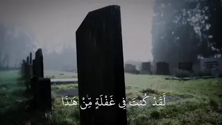 حالات واتس قران كريم المنشاوي 