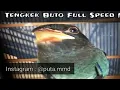 Download Lagu Tengkek Buto Full Speed Nyaris Tanpa Jeda Milik Kios ISABELLA YK Bantul Yogyakarta || Mewah !