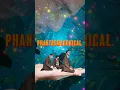 Download Lagu PHANTASMAGORICAL VOL. 1, THE ALBUM. THIS FALL. “PHANTASMAGORICAL (OPENING)” AVAILABLE EVERYWHERE NOW