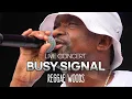 Download Lagu Busy Signal Live @ Reggae Woods Festival Rotterdam The Netherlands 2024
