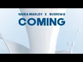 Naira Marley ft Busiswa   Coming instrumental  ( Instrumental) (freebeat))