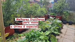 5 melhores frutíferas para se ter em vasos, a última vc não vai acreditar!