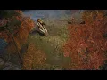 Pathfinder Wrath of the Righteous - Chilly Creek