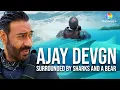 Download Lagu Ajay Devgn's Indian Ocean Adventure with Bear Grylls | Into the Wild | Discovery+ India
