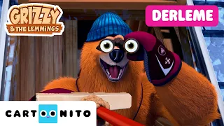 Kulübe Kaosu! 🐻💣  Dostlar ile Düşmanlar Derlemesi | Grizzy ve Lemmingler | @CartoonitoTurkiye