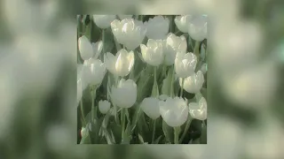 يا راسي التعب بطيء بدون موسيقى 