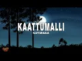 Ilaiyaraaja - Kaattumalli (Lyrics) | Viduthalai