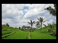 Download Lagu Sirih Kuning-Instrumental/No Vocal/ Karaoke